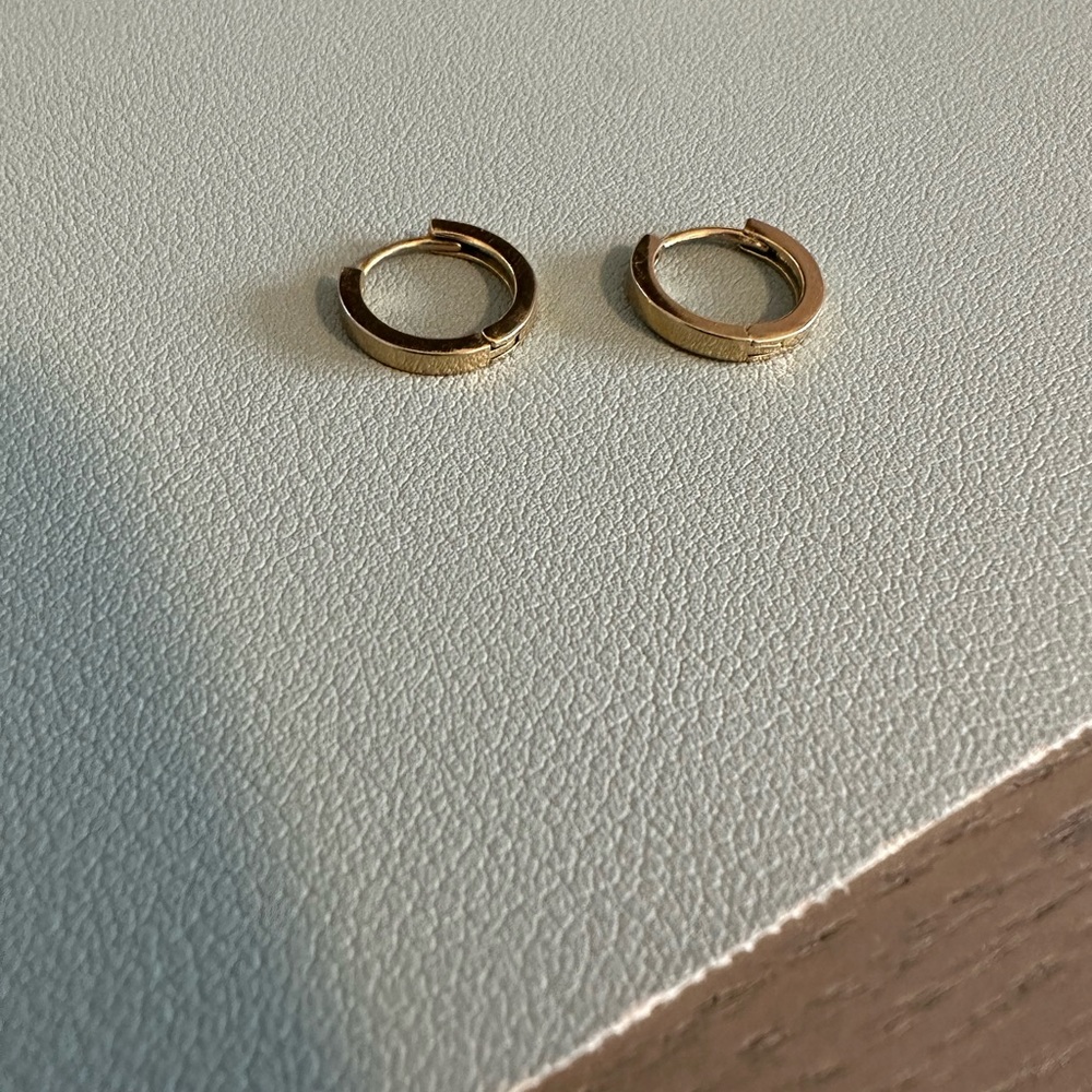 Alexa Leigh Gold Hoop Earrings